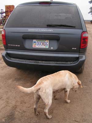 Opal ready to go home