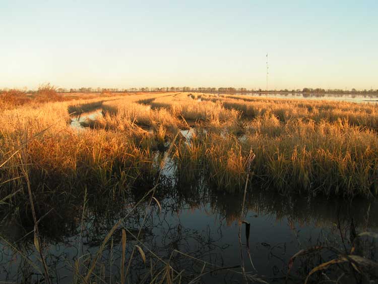  Make for a great hunt test scenario